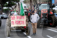 Roma - Protesta degli agricoltori in corteo con i trattori