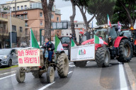 Roma - Protesta degli agricoltori in corteo con i trattori