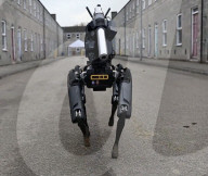 Le ministère de la défense britannique à dévoilé un chien robot pour détecter et désamorcer les bombes