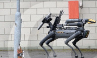 Le ministère de la défense britannique à dévoilé un chien robot pour détecter et désamorcer les bombes