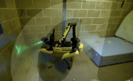 Le ministère de la défense britannique à dévoilé un chien robot pour détecter et désamorcer les bombes