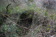 NEWS - Frankreich: Schulmädchen tot in einem Wald gefunden bei Essonne