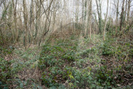 NEWS - Frankreich: Schulmädchen tot in einem Wald gefunden bei Essonne