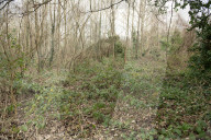 NEWS - Frankreich: Schulmädchen tot in einem Wald gefunden bei Essonne