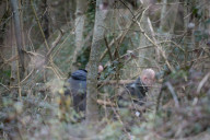 NEWS - Frankreich: Schulmädchen tot in einem Wald gefunden bei Essonne