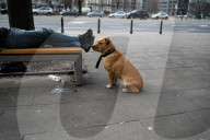 Daily Life In Warsaw