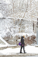 Winter Scenes In Brampton