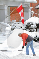 Winter Scenes In Brampton