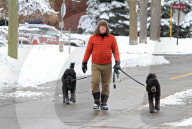 Winter Scenes In Brampton