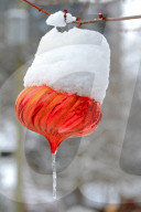 Winter Scenes In Brampton