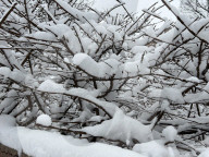 Snow Covers The City Of Toronto, Canada