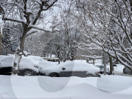 Snow Covers The City Of Toronto, Canada