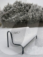 Snow Covers The City Of Toronto, Canada