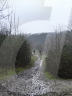 Seasonal weather