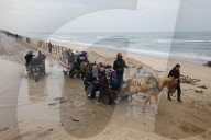 Displaced Gazans walk north