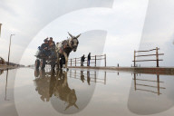 Displaced Gazans walk north