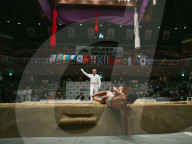 Tokyo, 15th Hakuho Cup