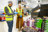 Adel: Zero Waste - Königin Maxima besucht das InstockMarket Food Rescue Cente in Diemen