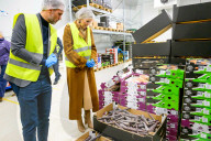 Adel: Zero Waste - Königin Maxima besucht das InstockMarket Food Rescue Cente in Diemen
