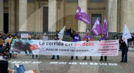 Rally Against Proselytism & Bullfighting Cruelty in Paris