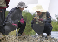 (EyesOnSci)CHINA-JURASSIC FOSSIL DISCOVERY-ORIGIN OF BIRDS (CN)