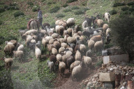 Palestinian Israeli Conflict in Nablus, Palestine - 13 Feb 2025