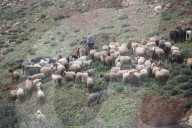 Palestinian Israeli Conflict in Nablus, Palestine - 13 Feb 2025