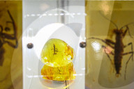 21st International Baltic Jewelry Show - Vilnius