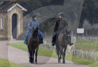 Andrew reitet durch den Park von Schloss Windsor