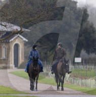 Andrew reitet durch den Park von Schloss Windsor