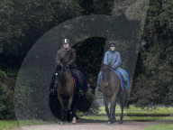Andrew reitet durch den Park von Schloss Windsor