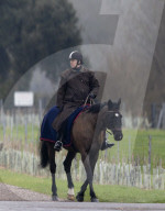 Andrew reitet durch den Park von Schloss Windsor