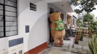 Policeman in capybara suit leads drugs raid