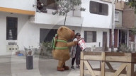 Policeman in capybara suit leads drugs raid