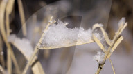 Kältewelle über Deutschland: Bis zu minus 20 Grad