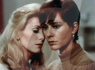 11544 - Archives - Catherine Deneuve
