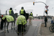 Stopp statt Galopp: Eine rote Ampel gilt auch für die Pferde der Reiterstaffel der Hamburger Polizei