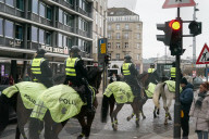Stopp statt Galopp: Eine rote Ampel gilt auch für die Pferde der Reiterstaffel der Hamburger Polizei