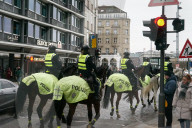 Stopp statt Galopp: Eine rote Ampel gilt auch für die Pferde der Reiterstaffel der Hamburger Polizei