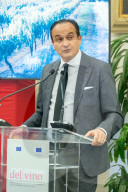 Roma - Stati generali del vino