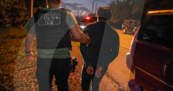 ICE rounds up illegal criminal aliens
