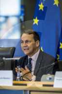 Polish Foreign Minister Rados?aw Sikorski outlines Poland's EU Presidency priorities at EU Parliament in Brussels, Belgium