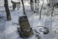 Pro-government forces fight in Ukraine 