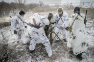 Pro-government forces fight in Ukraine 