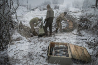 Pro-government forces fight in Ukraine 
