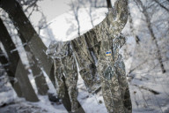 Pro-government forces fight in Ukraine 
