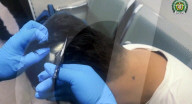 Drugs smuggler had cocaine hidden under a toupee