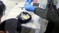 Drugs smuggler had cocaine hidden under a toupee