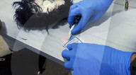 Drugs smuggler had cocaine hidden under a toupee