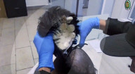 Drugs smuggler had cocaine hidden under a toupee